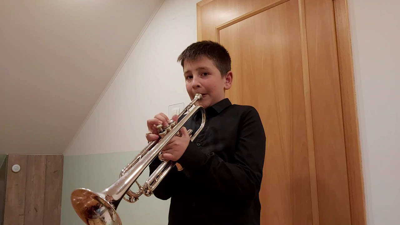 Praznični koncert 2020 'Na daljavo'